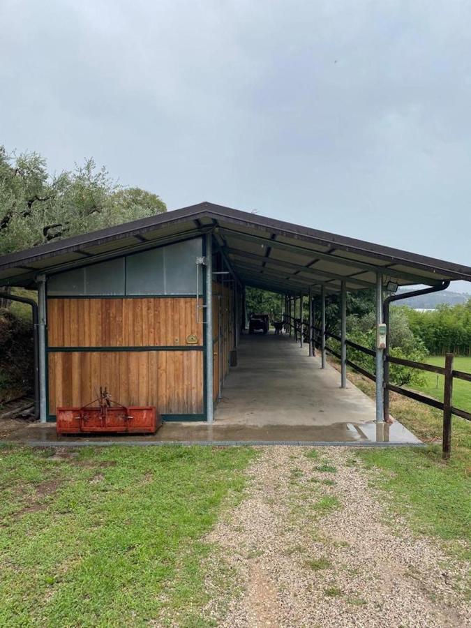 Apartmán Cason Degli Ulivi Rivoli Veronese Exteriér fotografie